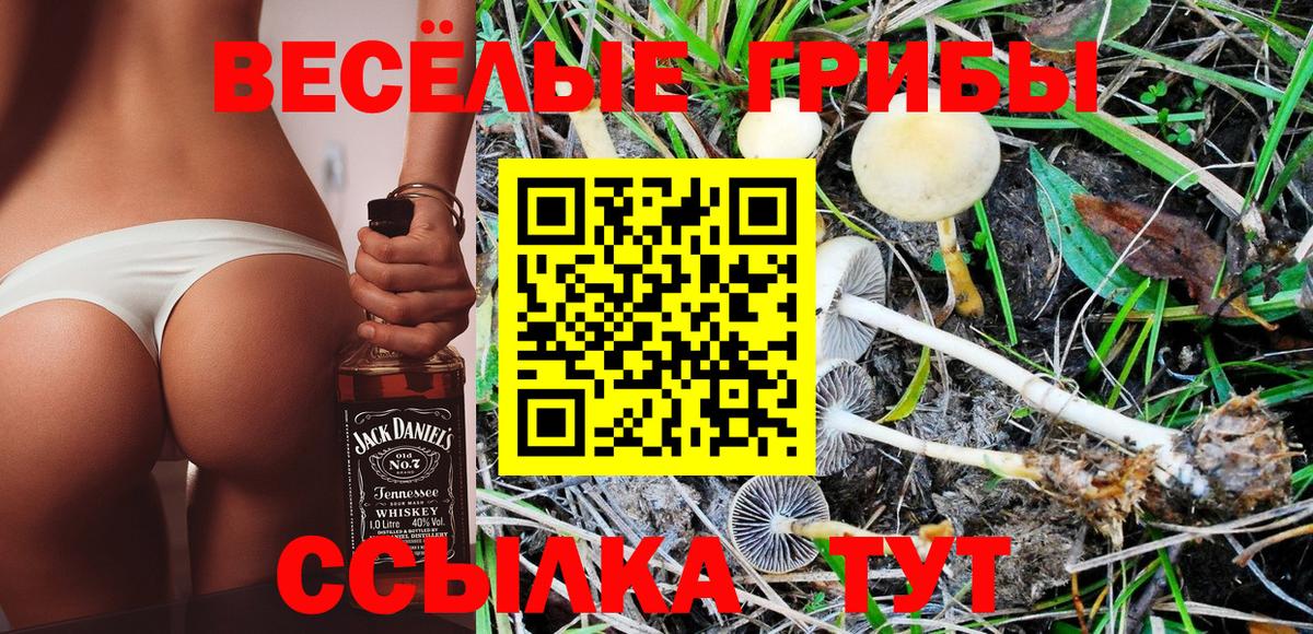 Галлюциногенные грибы MAGIC MUSHROOMS Орёл
