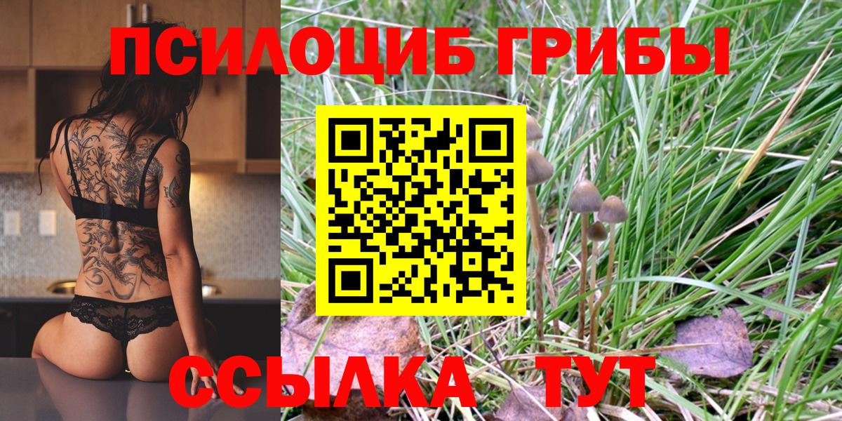 Галлюциногенные грибы Psilocybine cubensis  Вход с VPN  Орёл 